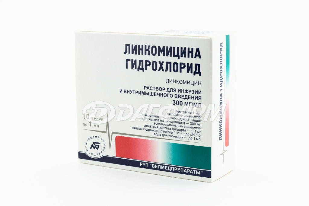 ЛИНКОМИЦИН  р-р для в/в в/м введ. 300мг/мл амп. 1мл №10 Белмедпрепараты